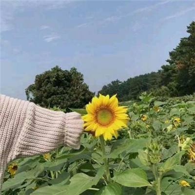 重庆市渝北区:纪委监委机关党员领导干部参观《巴渝丰碑》陈列展